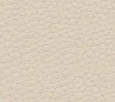 5101 · Latte techno leather swatch