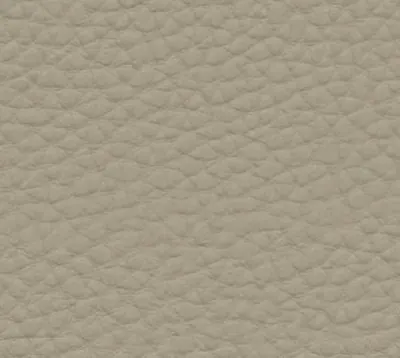 5102 · Nocciola techno leather swatch