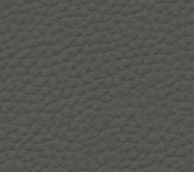 5103 · Elefante techno leather swatch