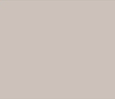 SKIN 5981 wood veneer swatch