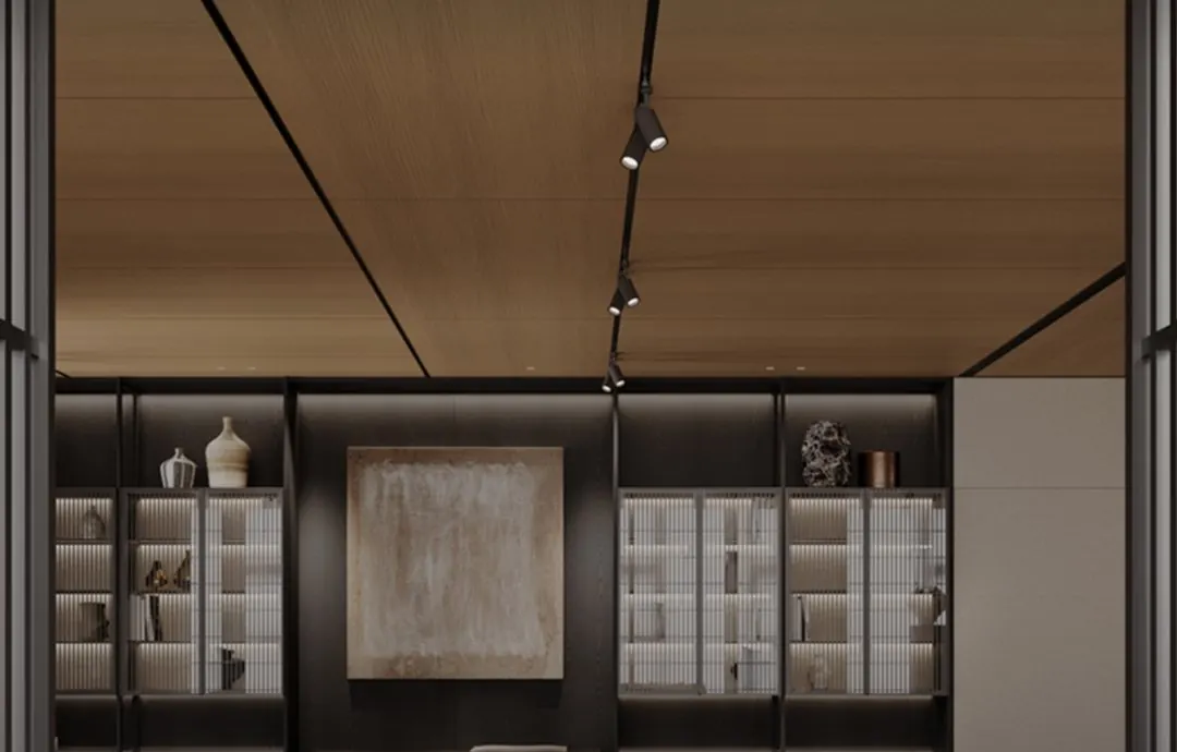 Living-room display cabinetry